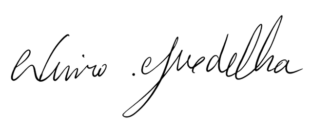 Nuno Guedelha Signature